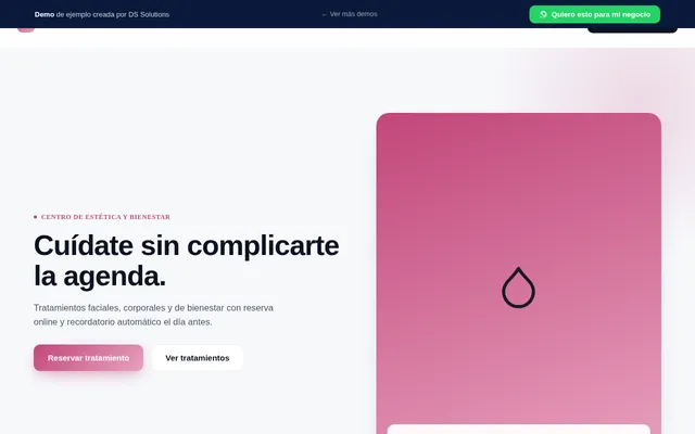 Captura de la demo estetica